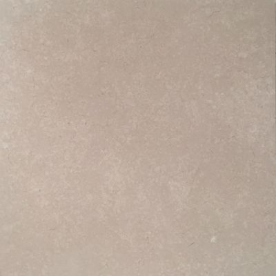 Fossil Light Marble Honed  60x60cm
