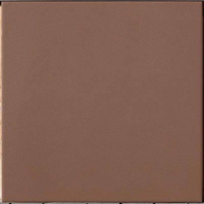 Mirtillo Evolution 10x10cm