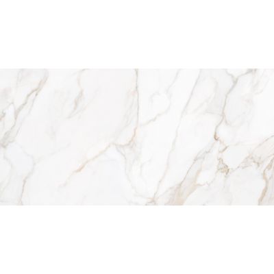 Paonazzo Gold 60x120cm